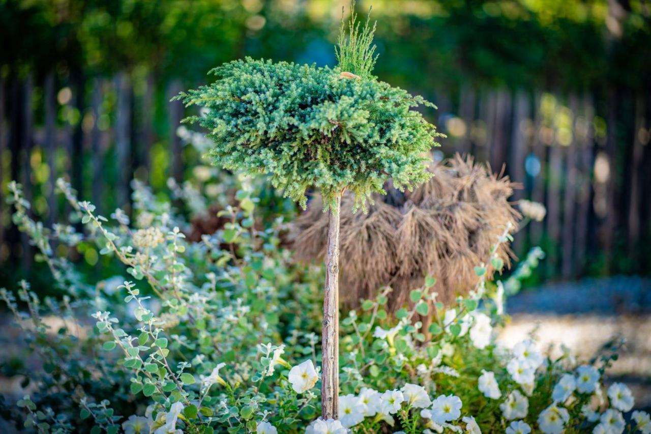 Domek Goralski - Gorski Hyr ซาโกปาเน ภายนอก รูปภาพ